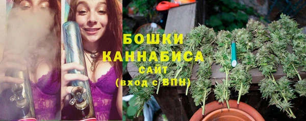 шишки Богданович