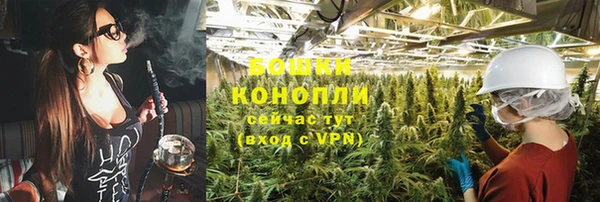 шишки Богданович