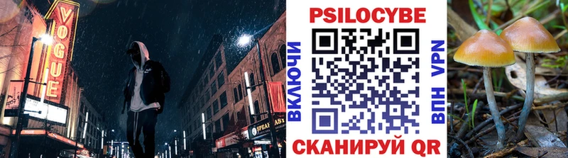 Псилоцибиновые грибы Cubensis Сковородино